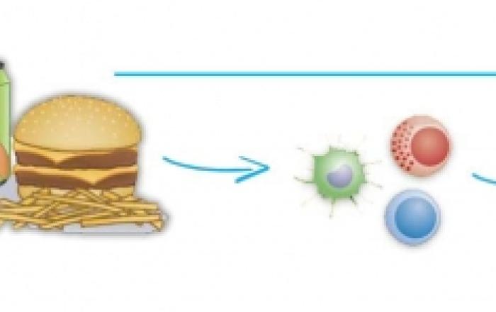 Cancer, Inflammation and Diet