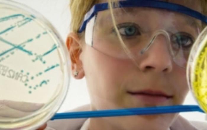 Bando MUR PRIN 2022 per Progetti di Ricerca di Interesse Nazionale