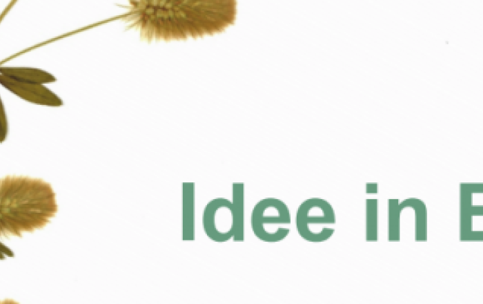 Idee in Erba: Concorso di idee per tutti gli studenti Sapienza