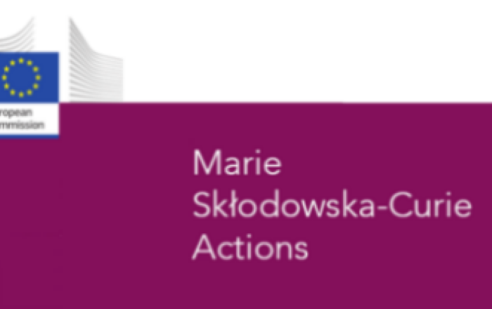 L'Area per l'Internazionalizzazione dedica il mese di maggio al programma Marie Sklodowska-Curie con una serie di eventi online