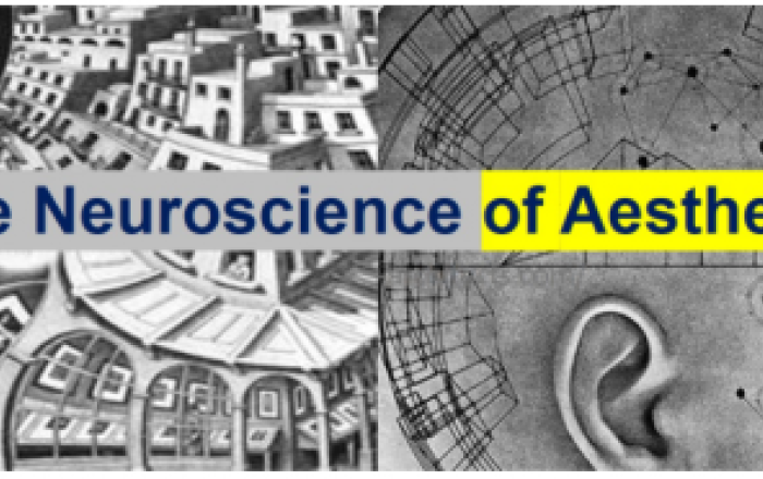 The Neuroscience of Aesthetics?