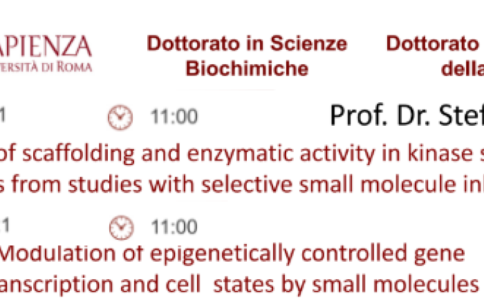 Venerdì 16 Luglio ore 11:00 The  role of scaffolding and enzymatic activity in kinase signalling.  Lessons from studies with selective small molecule inhibitors.  Lunedì 19 Luglio ore 11:00  Modulation of epigenetically controlled gene transcription and cell states by small molecules