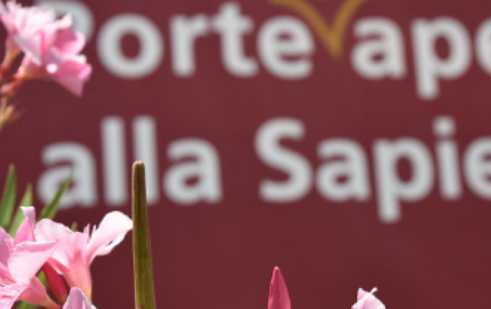 Student Orientation: Get to know Sapienza and find your course